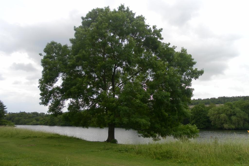 Vakantie Studio Eijsden Exteriör bild